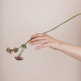 The Pear Solitaire with Pavé band